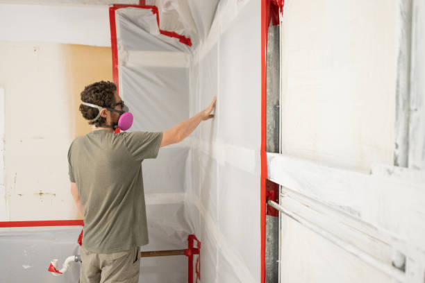 Trusted Mounds, OK Mold Removal Experts